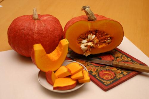 Тыква название. Сорта тыквы 2022 года — описание с фото