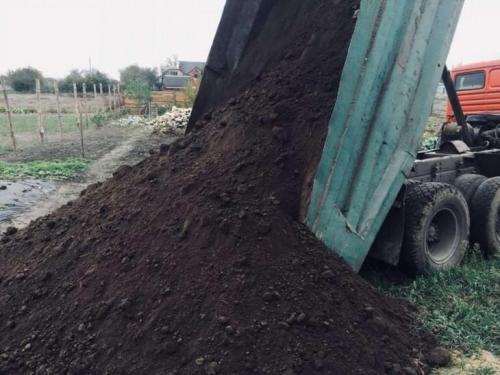 Как выбрать подходящий тип почвы для посадки кустов винограда в домашнем саду. Почва для винограда — состав, кислотность и подбор почвосмеси