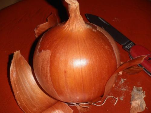 Какой сорт лука лучше хранится зимой. Хранение репчатого лука в квартире зимой — основные способы 02