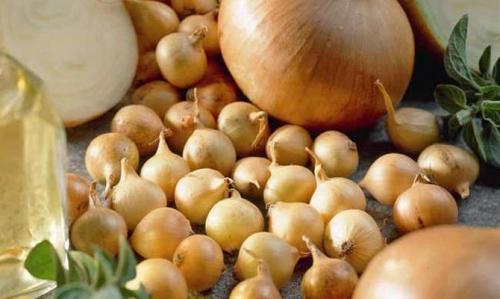 Лук троян. Происхождение и описание сорта