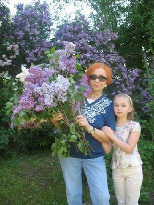 Сирень Красавица Москвы описание. Красавица Москвы