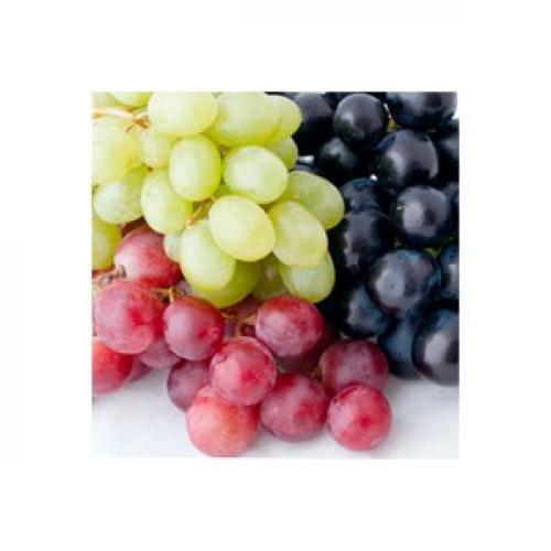 Как правильно расставить виноградные кусты на своем участке 02