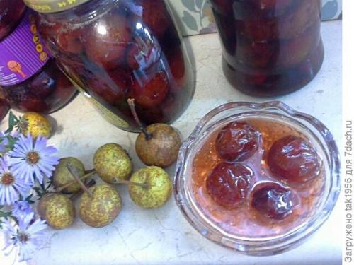 Груша дичка вкус. Не было бы счастья, да несчастье помогло, или Чудеса из груши-дикарки. Мой урожай-2022, глава 4