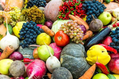 Благоприятные дни для посадки лука в зиму в 2022 году. Когда сажать лук по лунному календарю в 2022 году 14