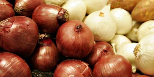 Благоприятные дни для посадки лука в зиму в 2022 году. Когда сажать лук по лунному календарю в 2022 году