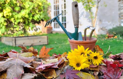 Благоприятные дни для посадки лука в зиму в 2022 году. Когда сажать лук по лунному календарю в 2022 году 17