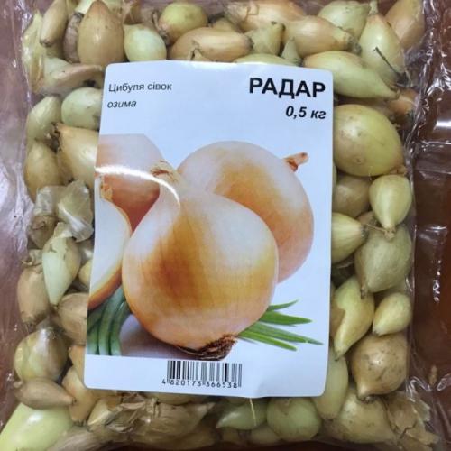 Сладкие сорта озимого лука. Особенности посадки озимого лука в разных регионах