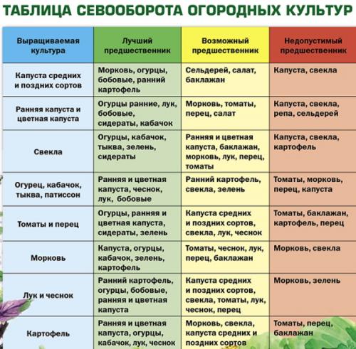 Сладкие сорта озимого лука. Особенности посадки озимого лука в разных регионах