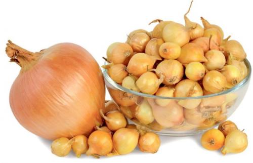 Лучшие сорта лука для сибири. Лучшие сорта лука озимого в Сибири, на Урале