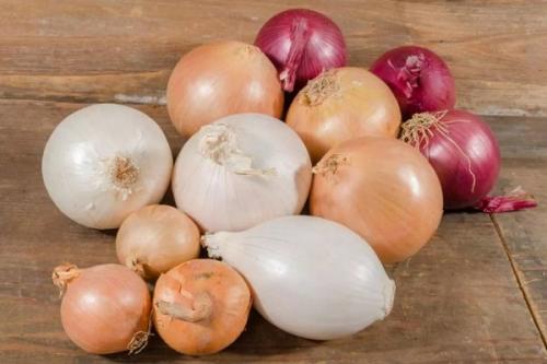 Лук озимый сладкий. Озимые сорта лука: описание, характеристики, преимущества и недостатки