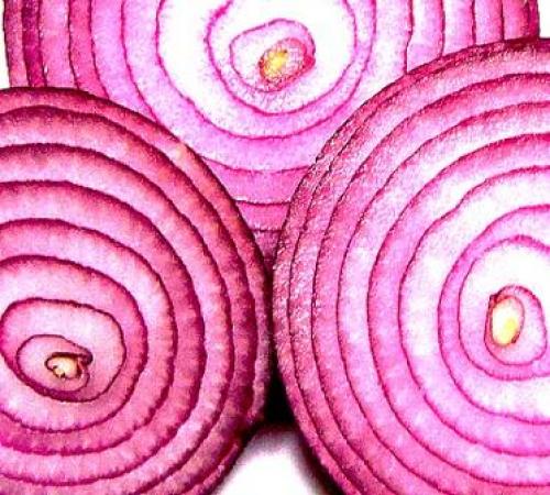 Сладкие сорта озимого лука. Лучшие сорта репчатого сладкого лука