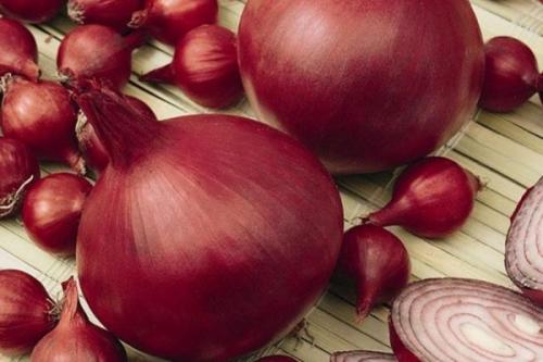 Лук озимый сладкий. Озимые сорта лука: описание, характеристики, преимущества и недостатки