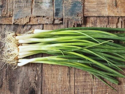 Озимый лук сибирский. Описание и характеристика сорта 06