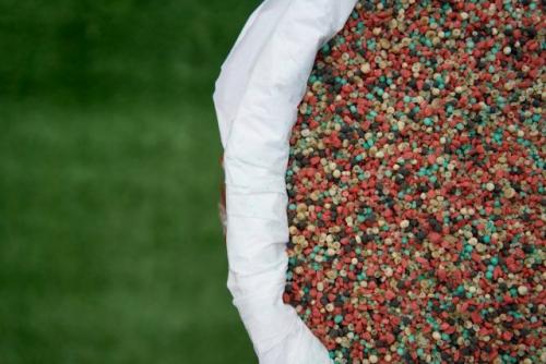 Как выбрать подходящее удобрение для разных типов почвы. Как правильно выбрать комплексное удобрение?