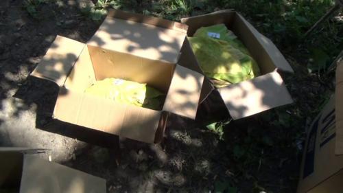 Сушка табака вирджиния. Выжелчивание (томление) табака