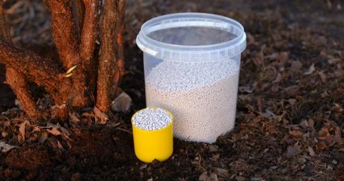 Как избежать переудобрения при осеннем внесении органических удобрений. Какими удобрениями подкармливать плодовые деревья осенью