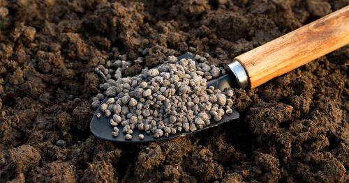 Осенняя подкормка: как правильно вносить органические удобрения для богатого урожая 01