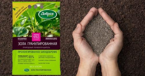 Как избежать переудобрения при осеннем внесении органических удобрений. Какими удобрениями подкармливать плодовые деревья осенью