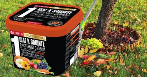 Как избежать переудобрения при осеннем внесении органических удобрений. Какими удобрениями подкармливать плодовые деревья осенью