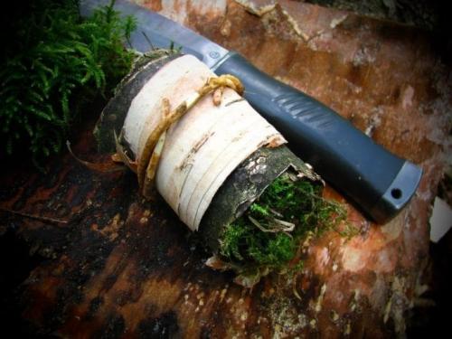 Уход за мхом в домашних условиях. Как вырастить мох в домашних условиях? 02