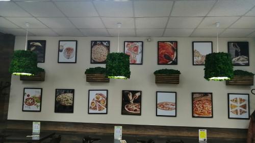 Как ухаживать за стабилизированным мхом