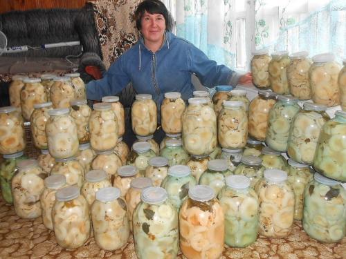 Чёрный груздь съедобный или нет. Черный груздь — основные характеристики, время сбора, распространение, блюда + 83 фото