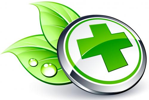 Волчье лыко интересные факты. Волчье лыко, виды, свойства. Симптомы отравления