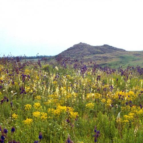 Июня на украинском. Как по-украински называются месяцы