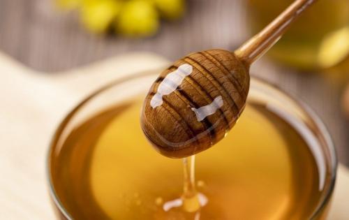 Мордовник шароголовый применение в медицине. Мордовник шароголовый, как медонос