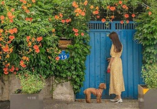 Может ли Дуб использоваться в косметике, и какие преимущества это дает. Сила дерева