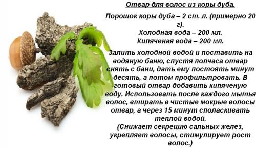 Какие народные средства с дубовой корой помогают при кожных заболеваниях. От чего помогает кора дуба и при каких болезнях применяется