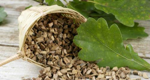 Отвар из листьев дуба: полезные свойства и применение 16