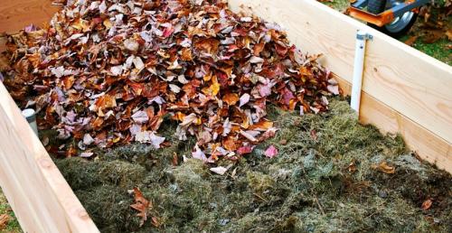 Как добавить дубовые листья в компостную кучу и какие от этого будут преимущества. Как сделать качественный компост своими руками