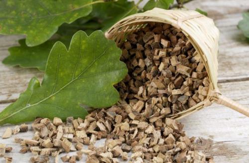 Как приготовить лекарственные средства из коры, листьев или желудей дуба. Кора дуба: полезные и лечебные свойства