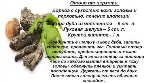 Какие народные средства с дубовой корой помогают при кожных заболеваниях. От чего помогает кора дуба и при каких болезнях применяется