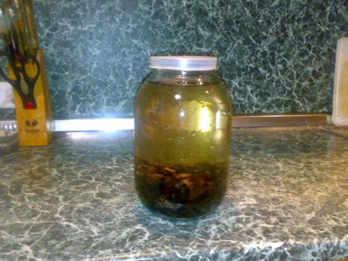 Как приготовить лекарственные средства из коры, листьев или желудей дуба. Кора дуба: полезные и лечебные свойства