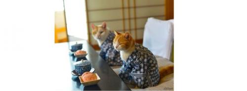 Какие инструменты нужны для приготовления чая из коры дуба. Посуда для приготовления чая, традиционная и не очень. Часть 1