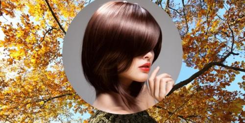 Есть ли научные доказательства эффективности дубовых листьев для волос. Кора дуба для волос. Польза, как пользоваться для ополаскивания от выпадения, окрашивания. Отзывы