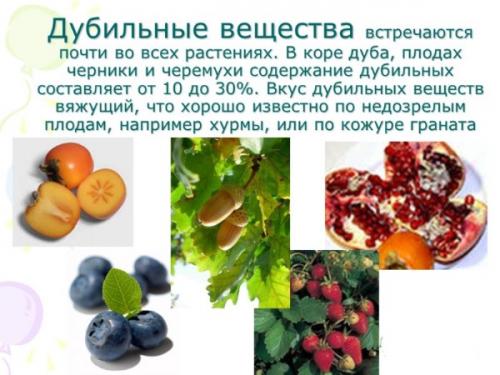 Есть ли научные доказательства эффективности дубовых листьев для волос. Кора дуба для волос. Польза, как пользоваться для ополаскивания от выпадения, окрашивания. Отзывы