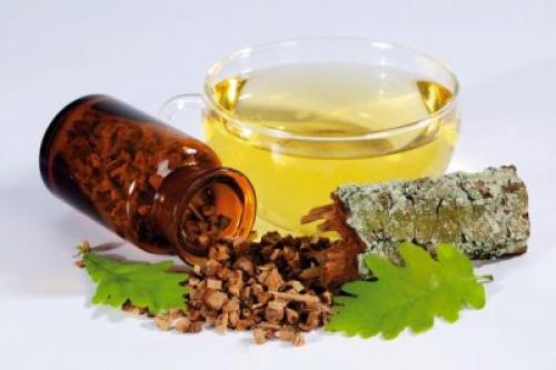 Как часто рекомендуется применять дубовые листья для волос. Применение коры дуба для волос от выпадения: рецепты чудодейственных масок