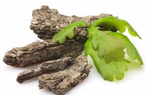 Как часто рекомендуется применять дубовые листья для волос. Применение коры дуба для волос от выпадения: рецепты чудодейственных масок