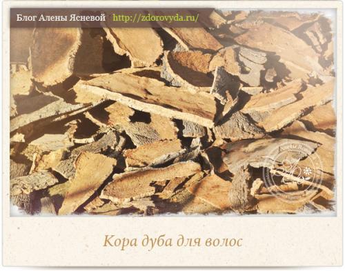 Дубовые листья для волос: природное средство для красоты и здоровья 11 Дубовые листья для волос: природное средство для красоты и здоровья 11