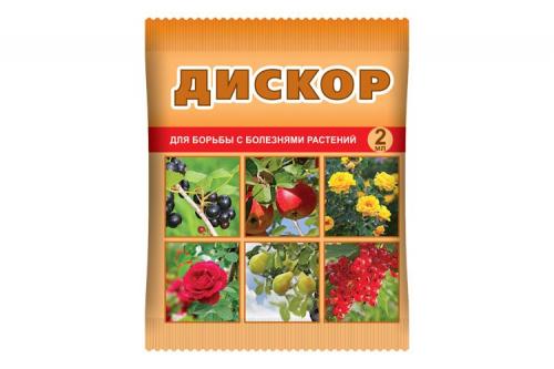 Лилейник уход осенью. Уход за лилейниками осенью и подготовка к зиме — надо ли укрывать цветы в Подмосковье и других регионах