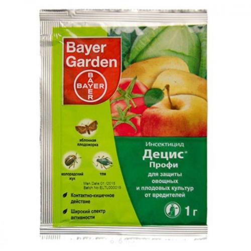 Лилейник уход осенью. Уход за лилейниками осенью и подготовка к зиме — надо ли укрывать цветы в Подмосковье и других регионах