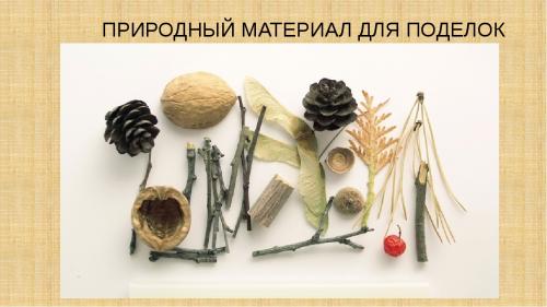 Как хранить листья дуба, чтобы сохранить их полезные свойства. Природные материалы для аппликаций и поделок