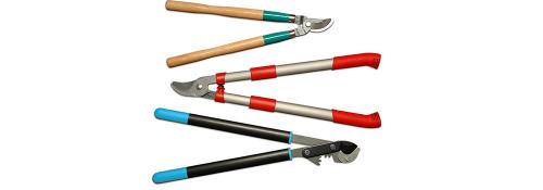 Как омолодить клубничные кусты для богатого урожая 08