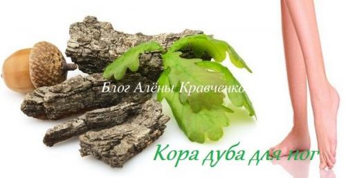 Полезные свойства и применение коры дуба: что нужно знать 02 Полезные свойства и применение коры дуба: что нужно знать 02