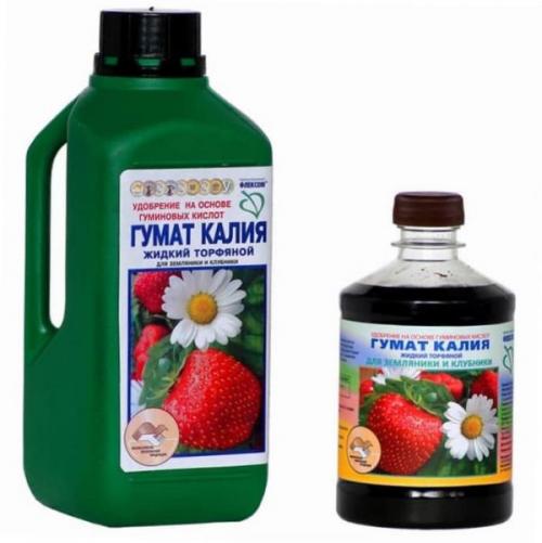 Чем подкормить клубнику после сбора урожая. Чем подкармливают клубнику