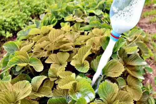 Headlines: 04 Headlines: 04