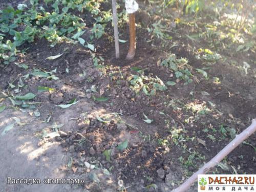 Headlines: 15 Headlines: 15